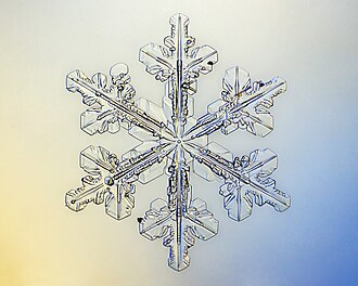 Snowflake (software)